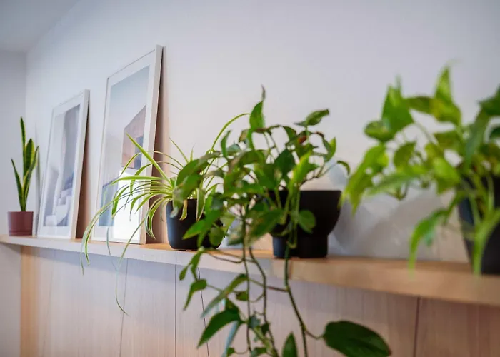 Skyline River & Eurovea Tower 아파트 *