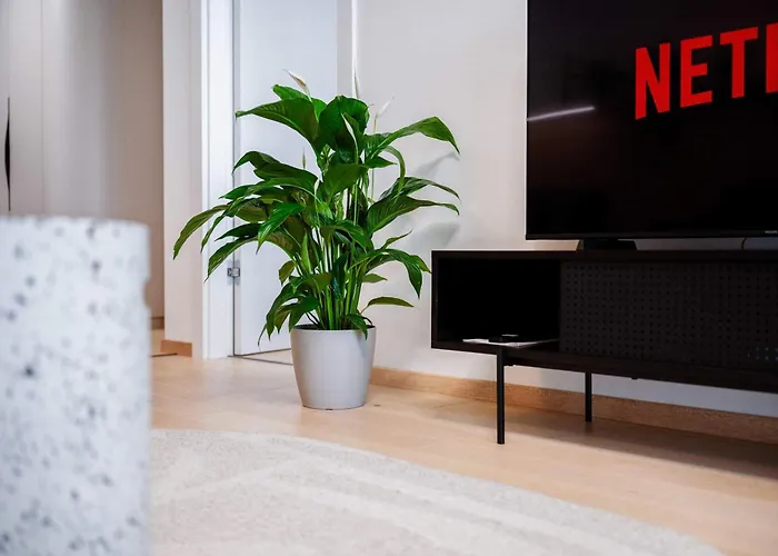 Skyline River & Eurovea Tower * 布拉迪斯拉发